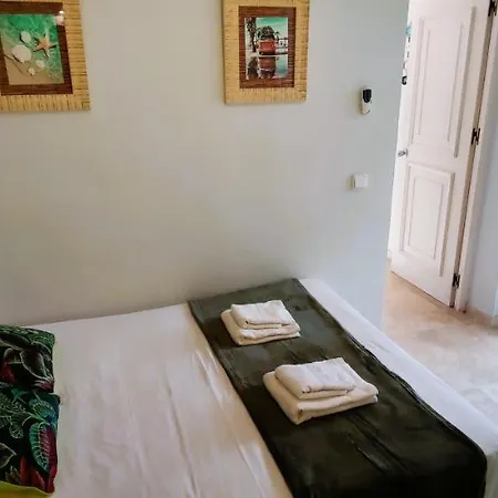 Gran Apartamento Con Jardin En Playa